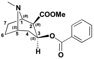 File:Cocaine positions tropane-ring only.png