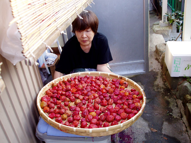 File:Umeboshi by oya in Shizuoka 1.jpg