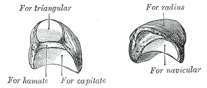 File:Gray222.png
