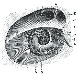 File:Gray140.png