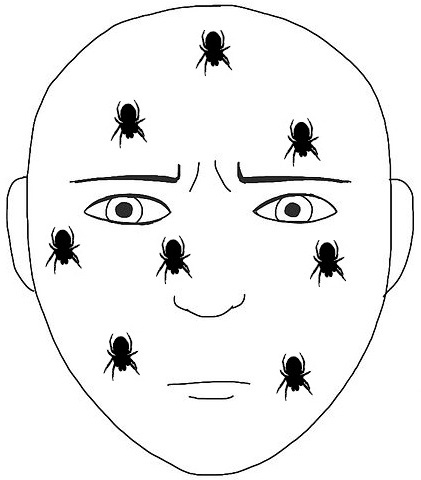 File:Tactile hallucination.jpg