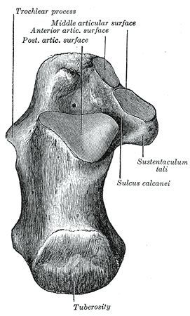 File:Gray264.png