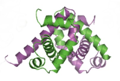 File:TrpR.jpg