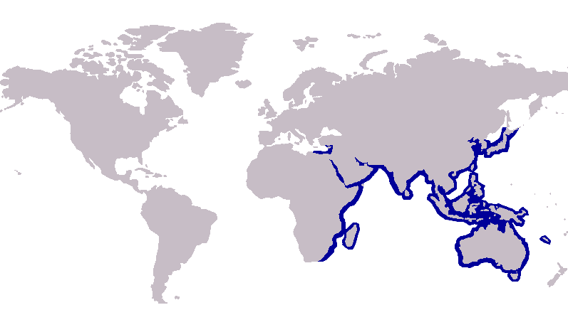 File:Sillaginidae distribution.png