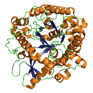 File:1e4m.png