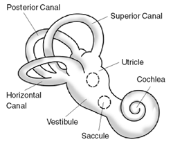 Illustration of balance disorder