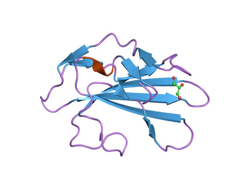 File:PDB 1m9z EBI.jpg