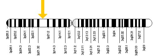 File:TREX1 gene location.jpg