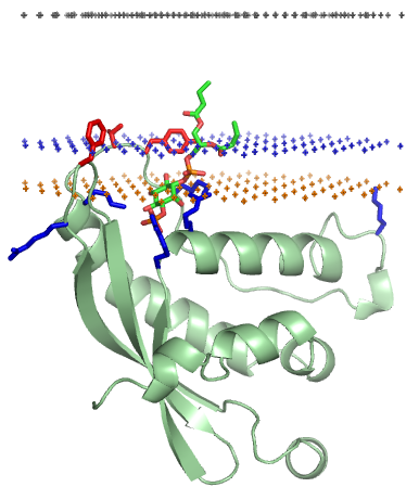 File:1h6h.png