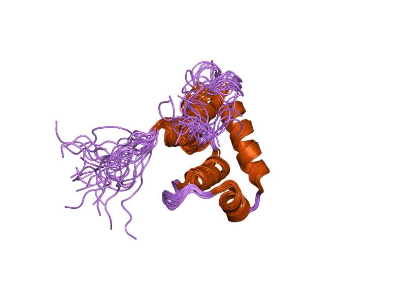 File:PDB 1tty EBI.jpg
