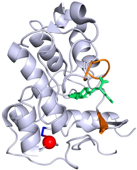 File:Brainsci-10-00762-g004-550.png