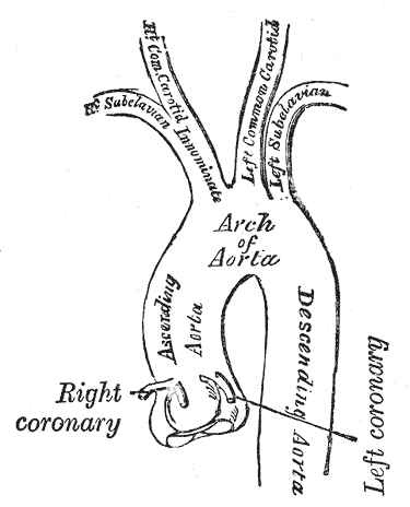File:Gray506.png