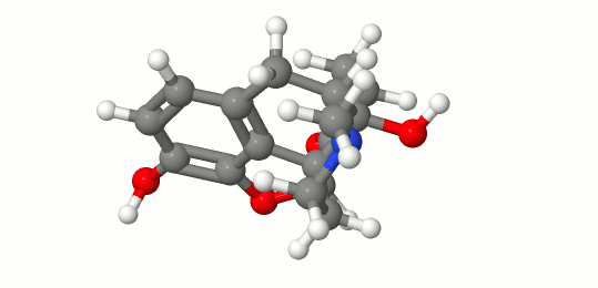 File:Oxymorphone3DanJ.gif