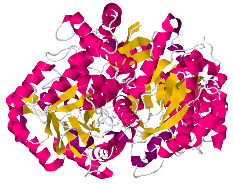 File:2XSX.pdb.png