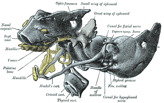File:Gray71.png