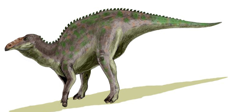 File:Anatotitan BW.jpg