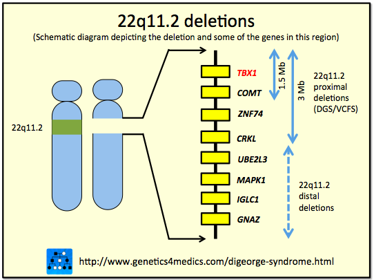 File:22 del q11.2.png