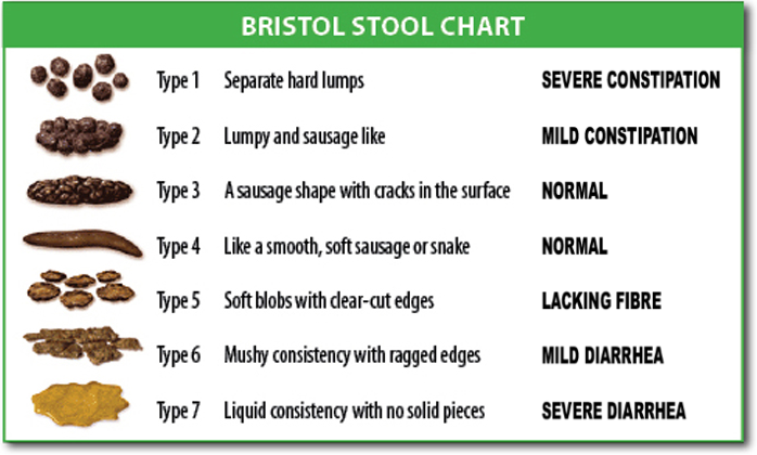 File:BristolStoolChart.png