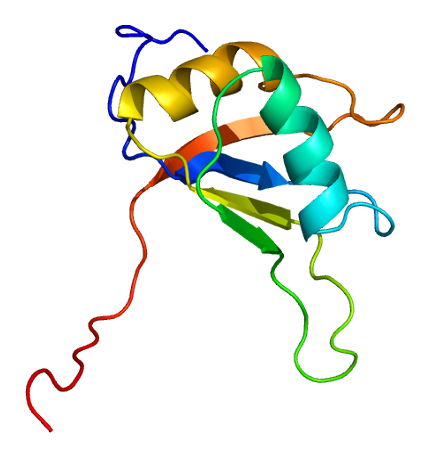 File:Protein CIRBP PDB 1x5s.png