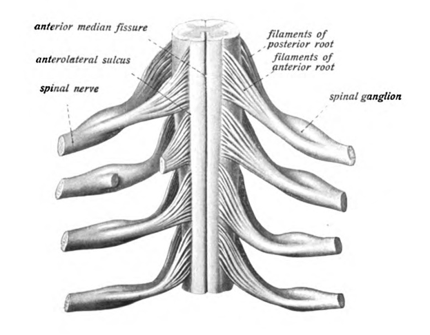 File:Sobo 1909 612.png