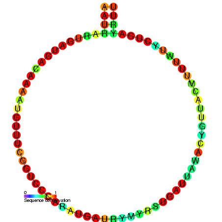 File:RF00071.jpg