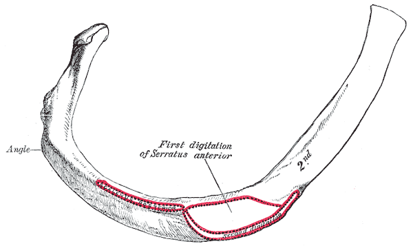 File:Gray125.png
