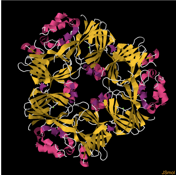 File:Ara h 1 structure.jpg