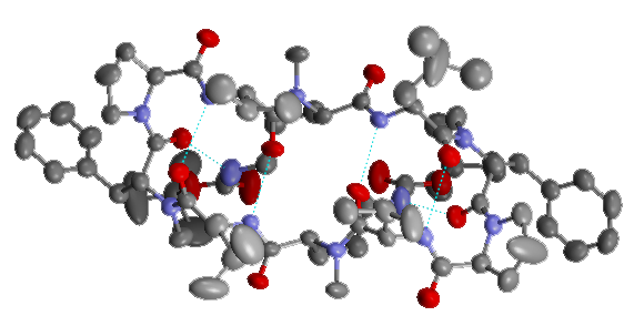 File:Crystal structure of modified Gramicidin S horizontally.png