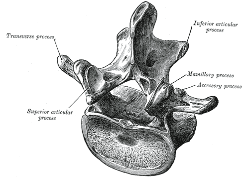 File:Gray93.png