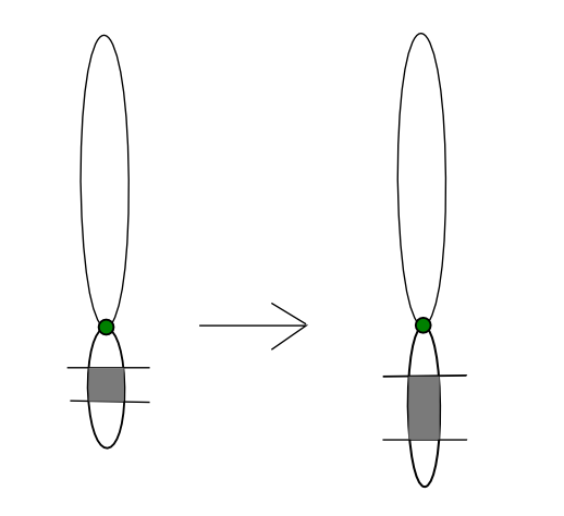 File:Duplication interne.png