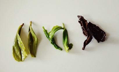 File:Sejak, ujeon, hwangcha tea leaves.jpg
