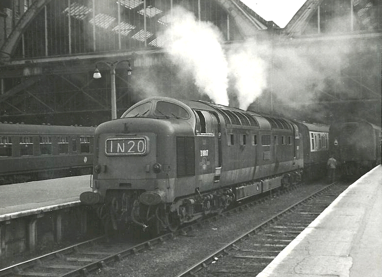 File:D9017 The Durham Light Infantry(8190815683).jpg