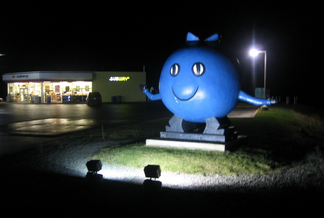 File:OxfordGiantBlueberry Night.jpg