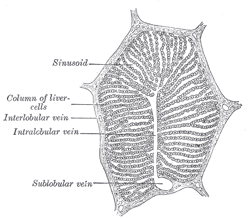 File:Gray1092.png