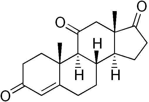 File:Adrenosterone.png