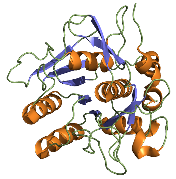 File:4dwwnattokinase.png
