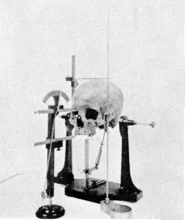 File:Craniometry skull 1902.jpg