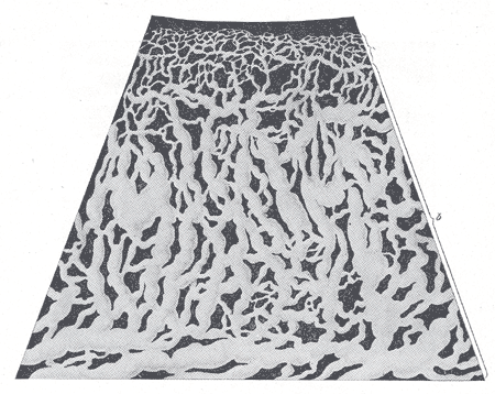 File:Gray593.png
