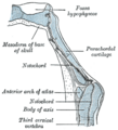Thumbnail for version as of 17:28, 18 May 2026