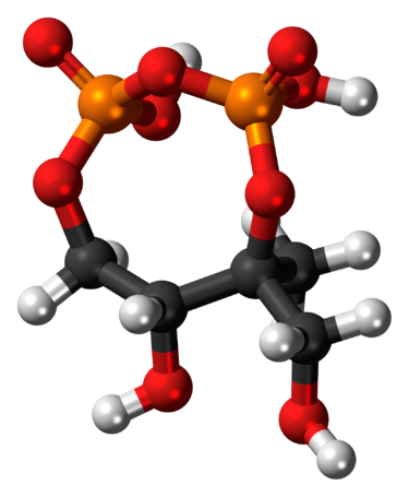 File:2-C-Methyl-D-erythritol-2,4-cyclopyrophosphate-3D-balls.png
