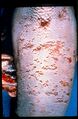 Thumbnail for version as of 19:19, 4 June 2026