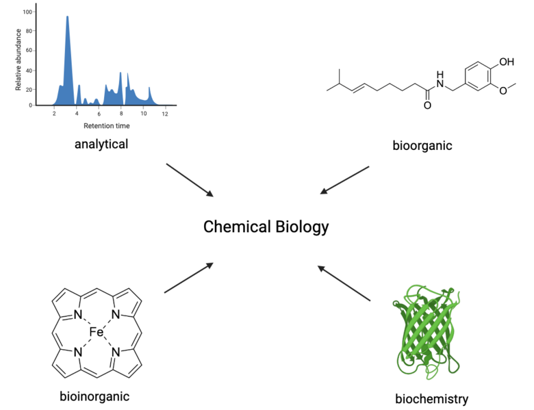 File:Chemical biology flowchart.png