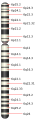 Thumbnail for version as of 03:22, 5 June 2026
