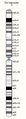 Thumbnail for version as of 15:54, 29 May 2026