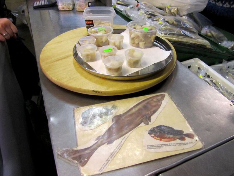 File:Fermented Shark Meat (8095386325).jpg