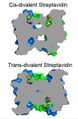 Thumbnail for version as of 13:41, 8 June 2026