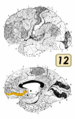 Thumbnail for version as of 19:19, 4 June 2026
