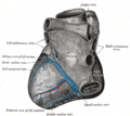 Gray's Anatomy illustration of the left marginal vein