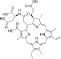 Thumbnail for version as of 19:03, 22 May 2026