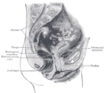 Thumbnail for version as of 17:28, 18 May 2026